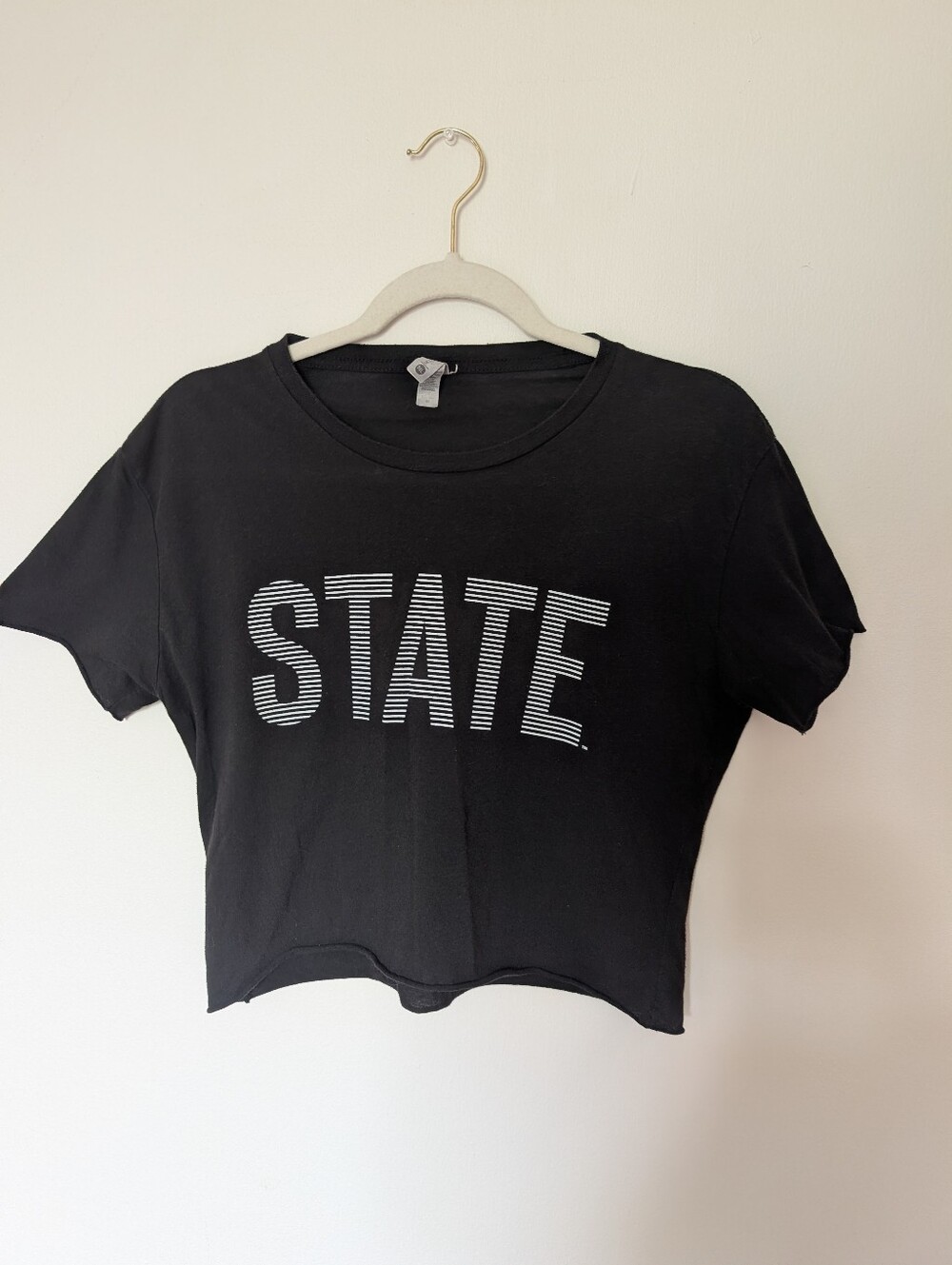 Cropped State Tee - Picture 2 of 4